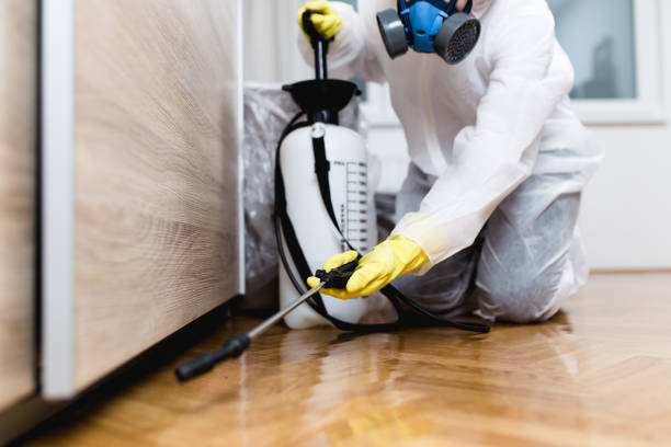 Best Pest Removal Services  in Elizabeth City, NC