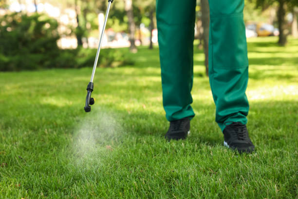 Professional Pest Control in Elizabeth City, NC