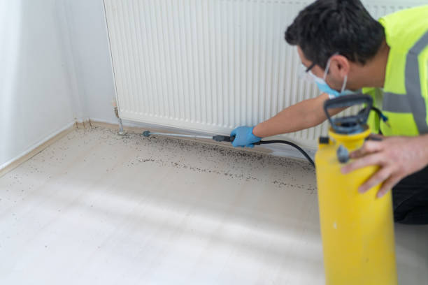 Best Mosquito Control Services  in Elizabeth City, NC